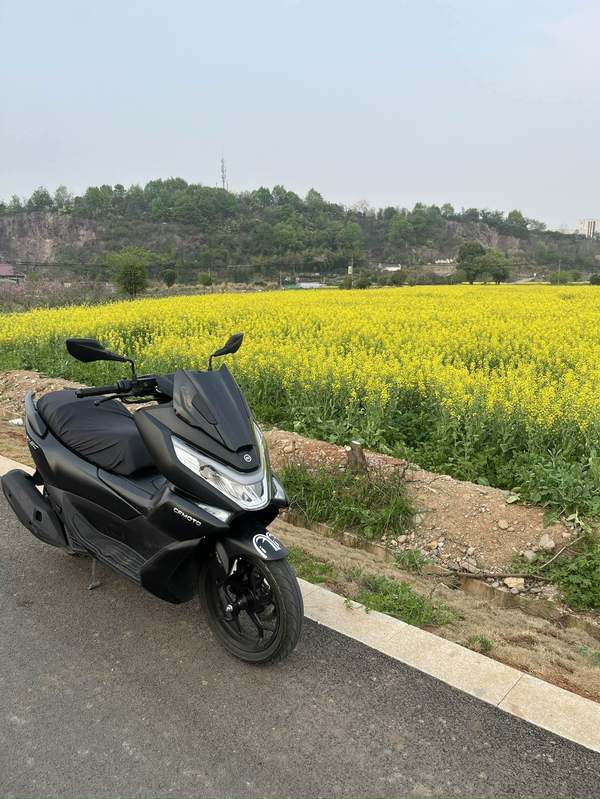 二手春风150SC