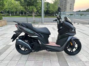 二手三阳巡弋 Cruisym150
