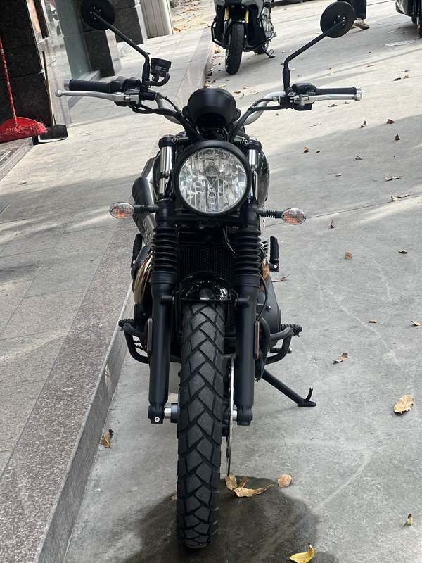 二手凯旋Scrambler 900