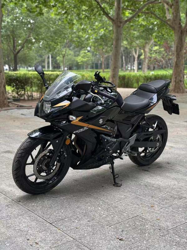 二手豪爵铃木GSX250R
