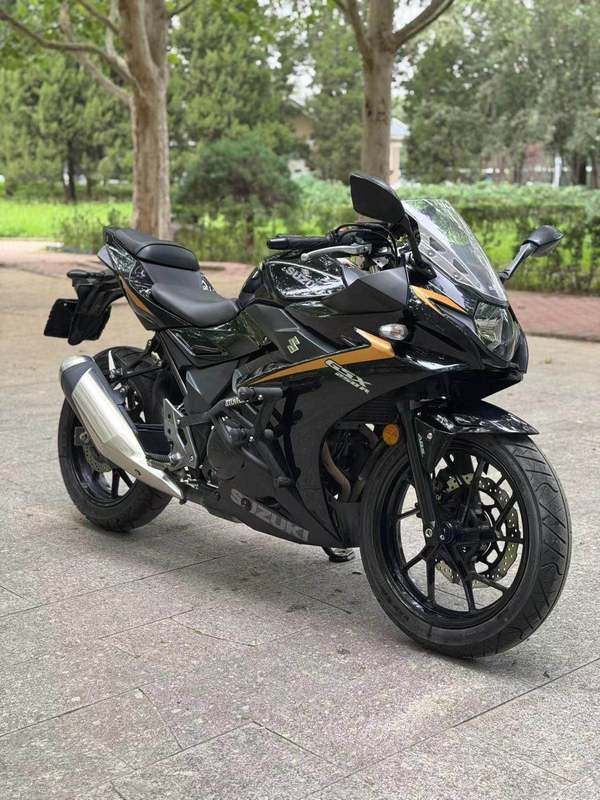二手豪爵铃木GSX250R