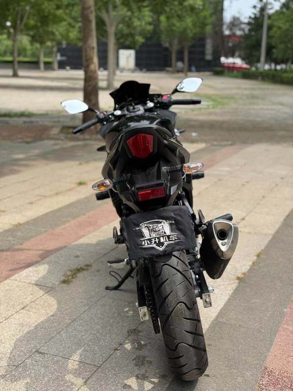 二手豪爵铃木GSX250R