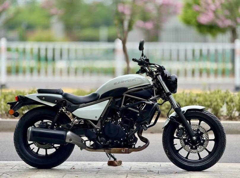 二手川崎Eliminator 500