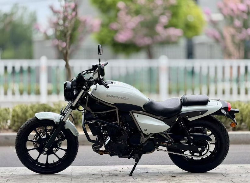 二手川崎Eliminator 500