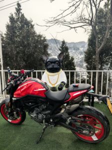 二手杜卡迪Monster 950