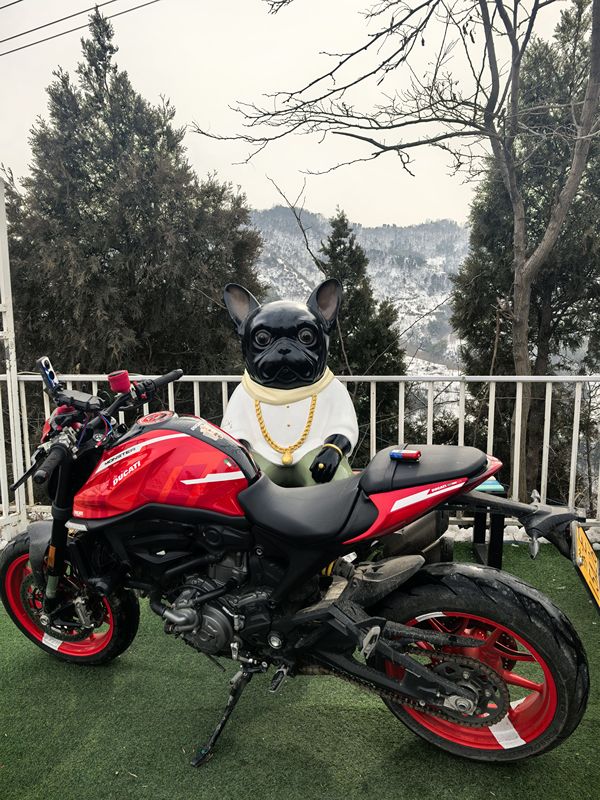 二手杜卡迪Monster 950