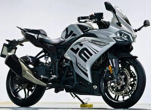 二手无极300RR