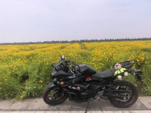 二手豪爵铃木GSX250R