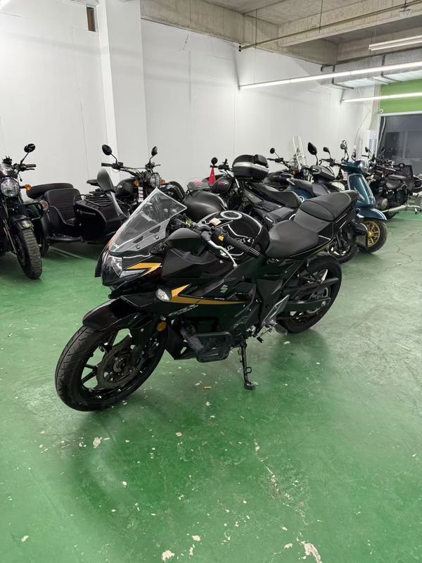 二手豪爵铃木GSX250R