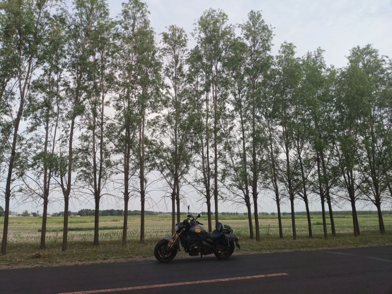 二手摩枭500MS