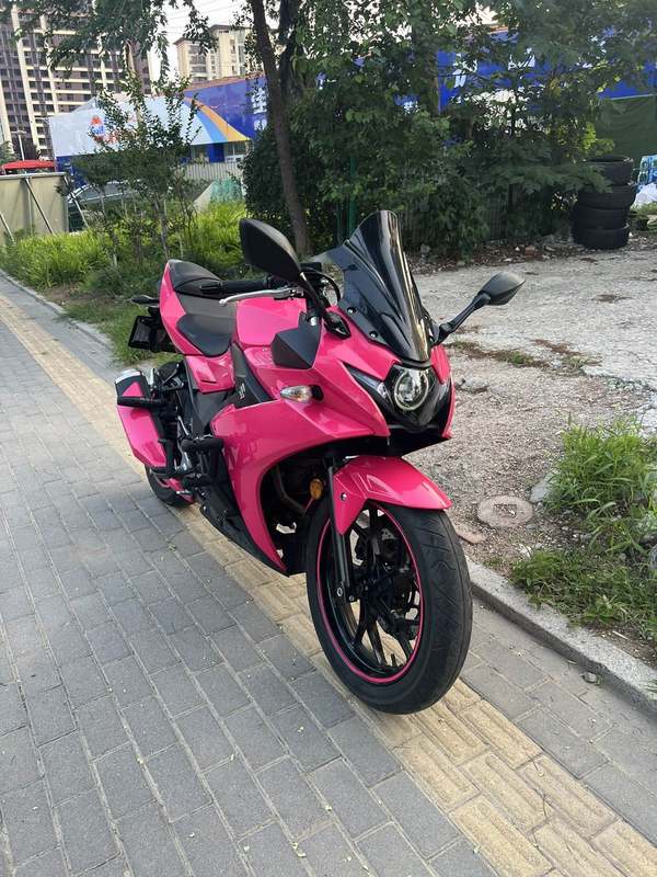 二手豪爵铃木GSX250R