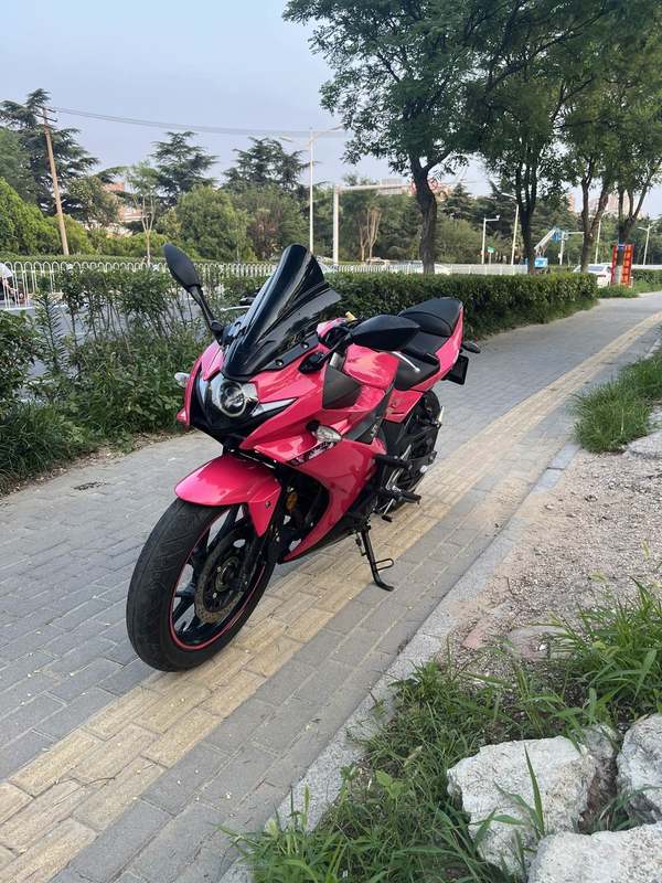 二手豪爵铃木GSX250R