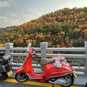二手VESPAPrimavera 150