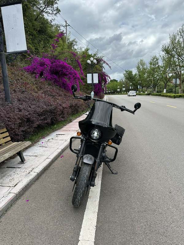 二手哈雷戴维森STREET ROD街路德 