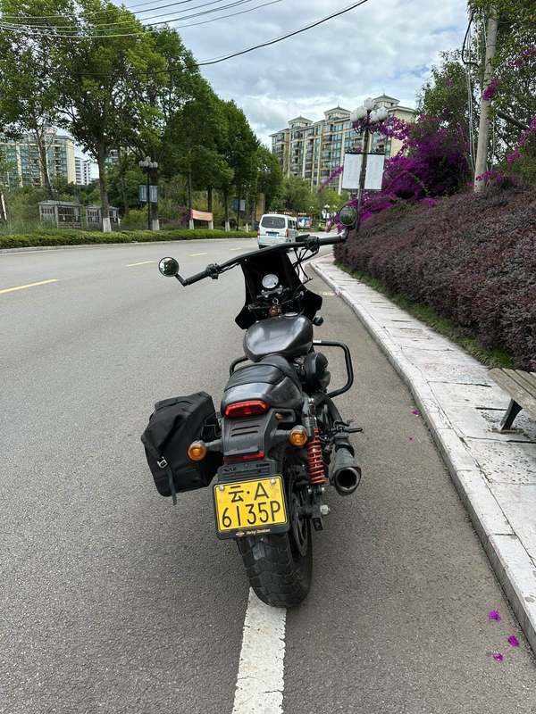 二手哈雷戴维森STREET ROD街路德 