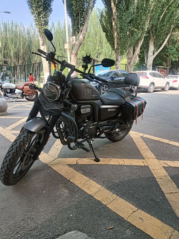 二手赛科龙RA250