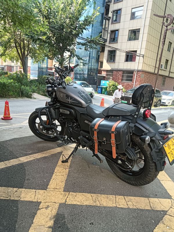 二手赛科龙RA250