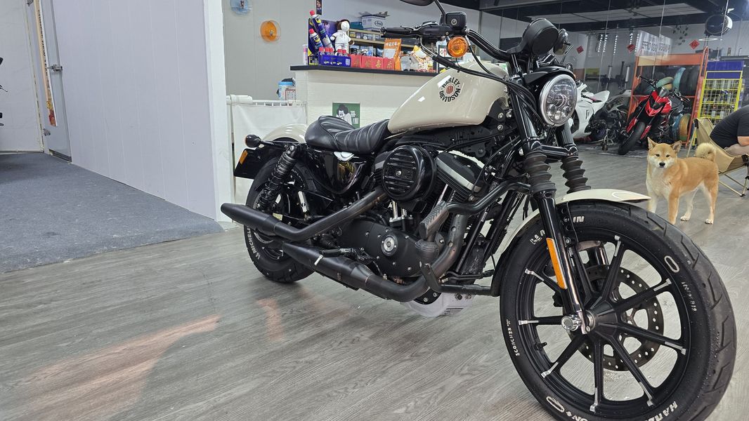 二手哈雷戴维森Iron883 硬汉