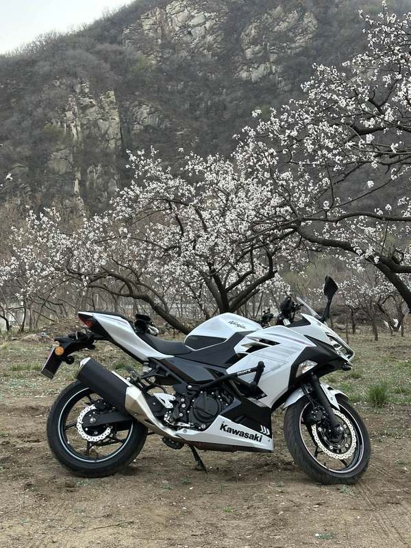二手川崎Ninja 400
