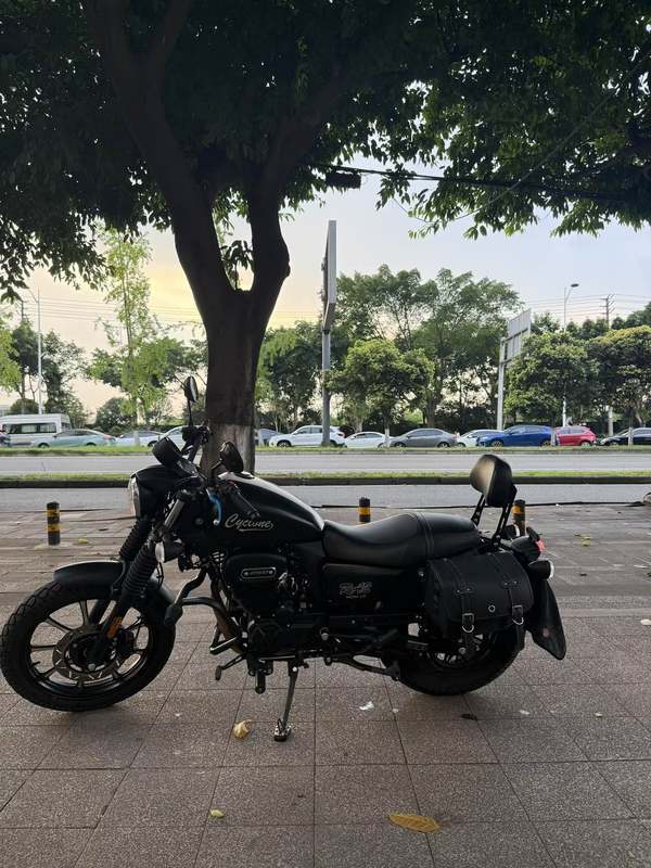 二手赛科龙RA2