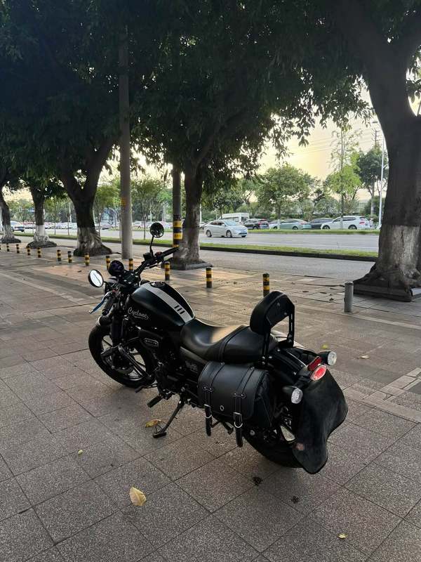 二手赛科龙RA2