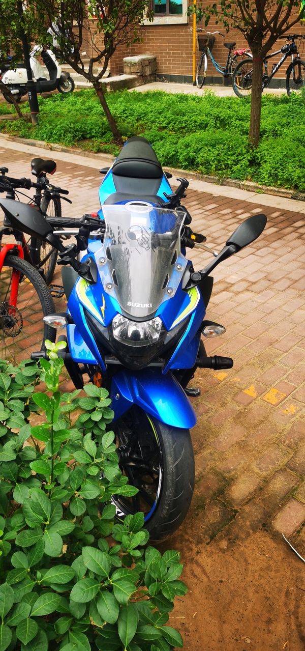 二手豪爵铃木GSX250R