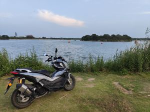 二手天鹰TT