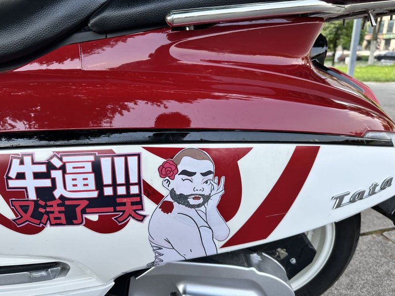 二手天鹰TA 她他