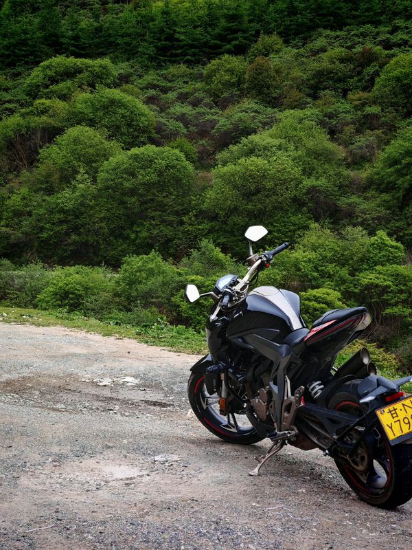 二手升仕310R
