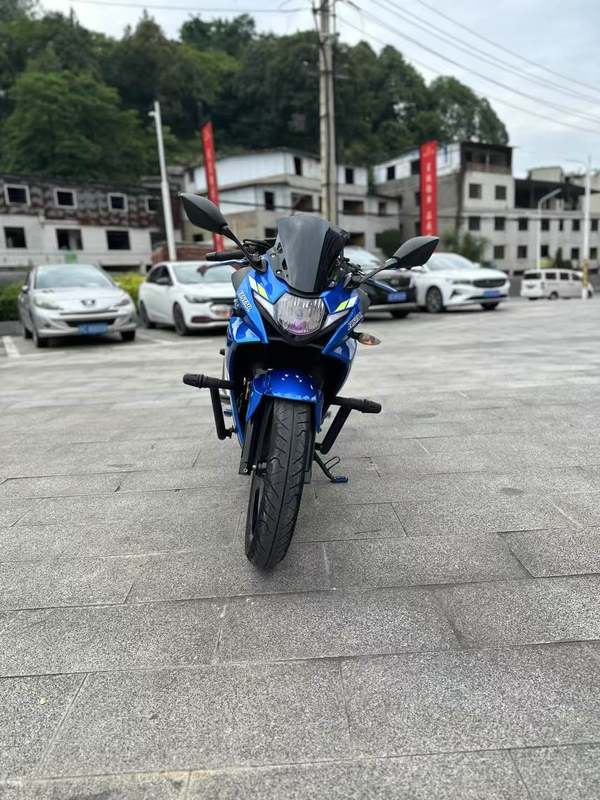 二手豪爵铃木GSX250R