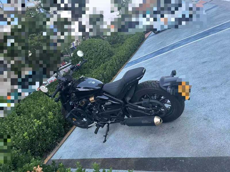 二手赛科龙RA600