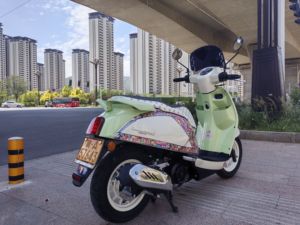 二手QJMOTOR阳光壹米