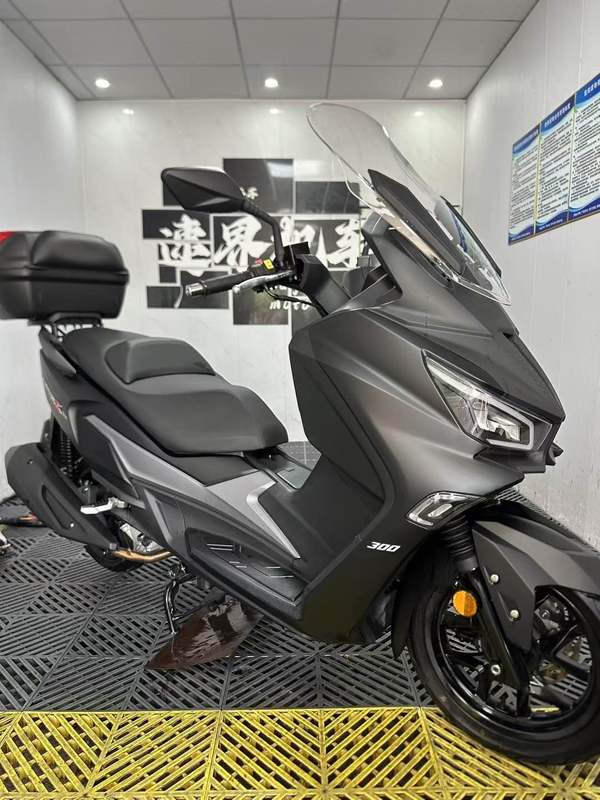二手三阳Joymax Z 300
