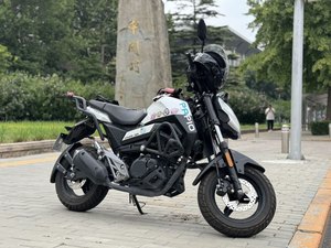 二手春风ST狒狒