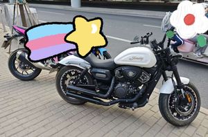 二手庄威V400