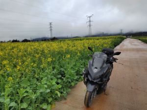二手QJMOTOR鸿150