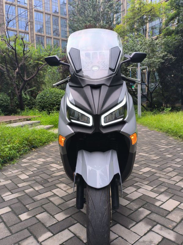 二手三阳Joymax Z 300