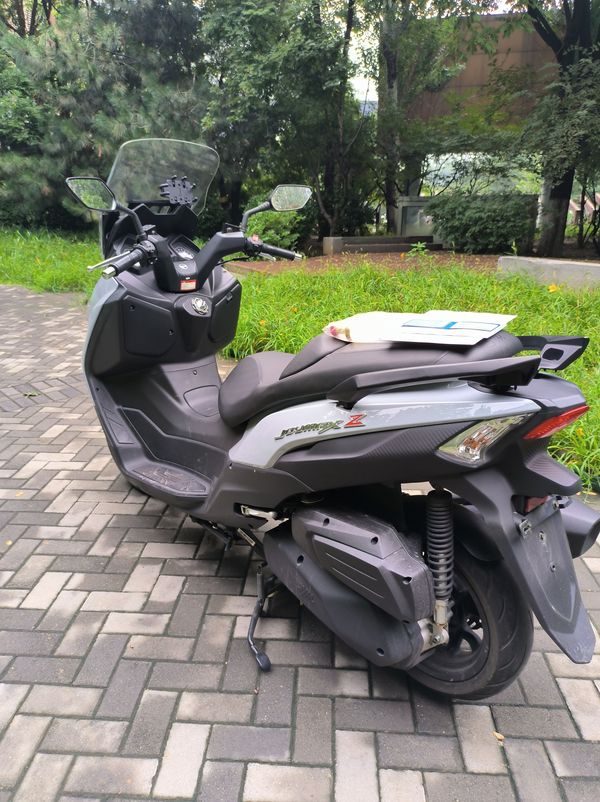 二手三阳Joymax Z 300