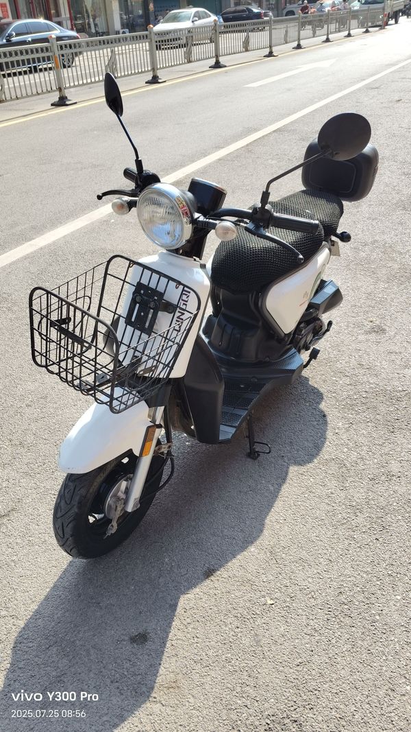 二手轻骑铃鹿QM48QT-8E（I）C