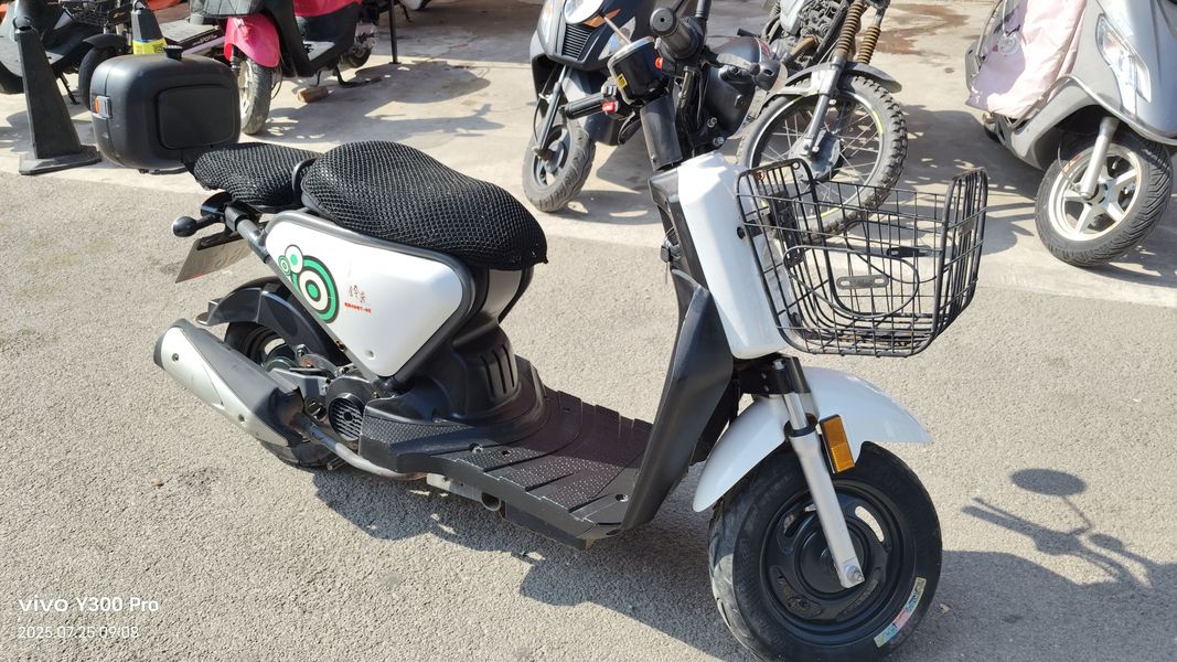 二手轻骑铃鹿QM48QT-8E（I）C