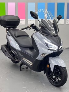 二手三阳Joymax Z 300