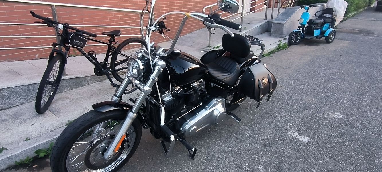 二手哈雷戴维森Softail Standard