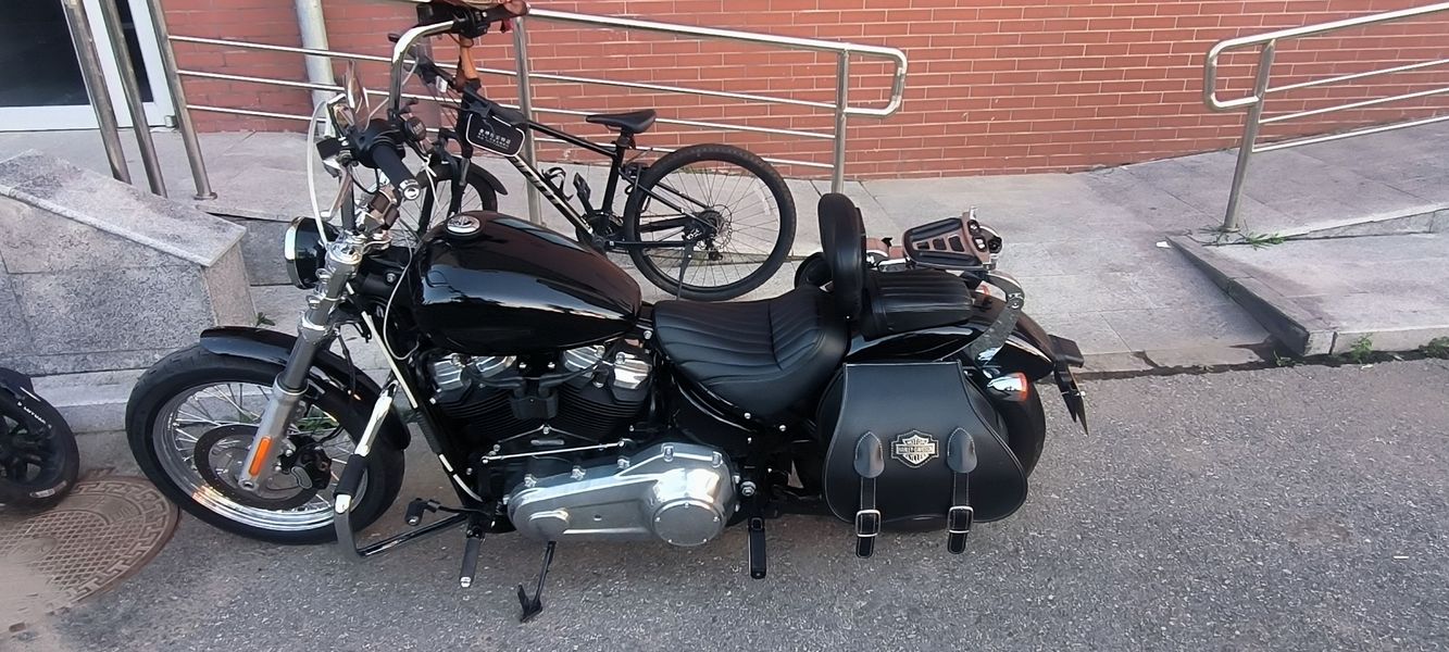 二手哈雷戴维森Softail Standard