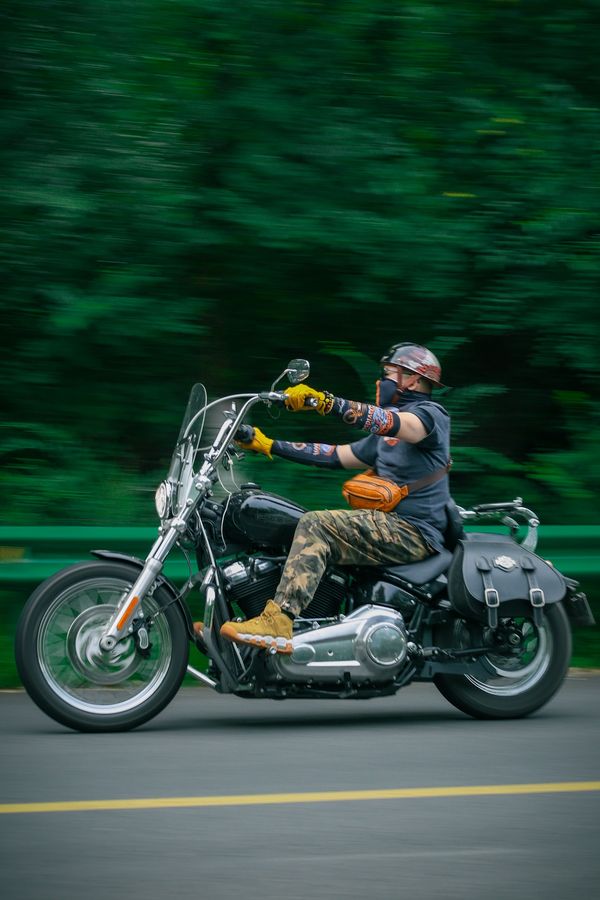 二手哈雷戴维森Softail Standard