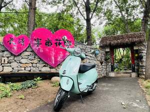 二手VESPAPrimavera 150