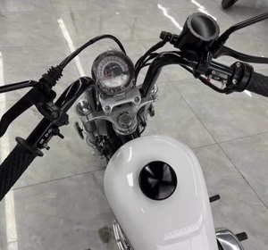 二手柴特Naja250 软尾版
