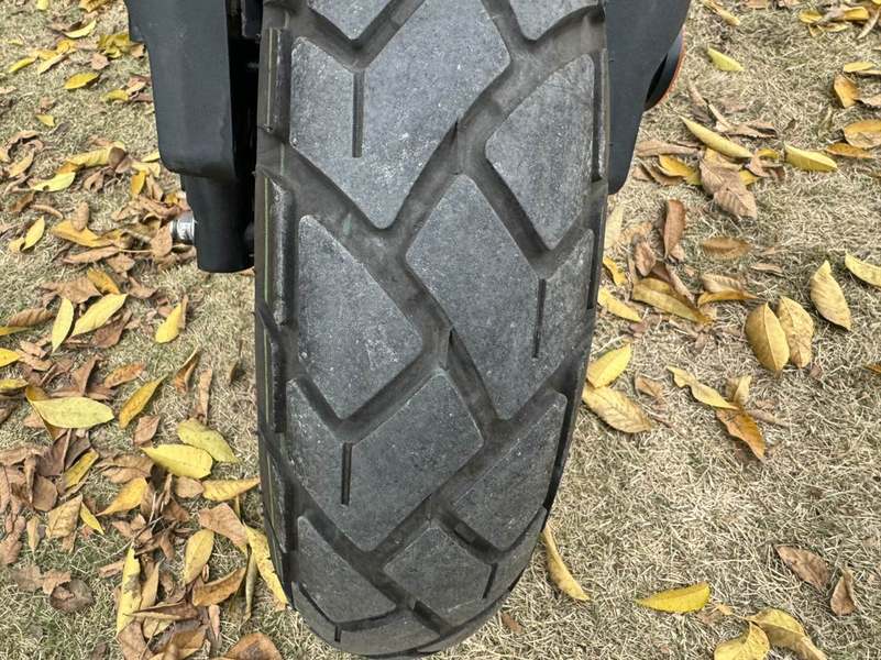 二手斯托纳猿猴