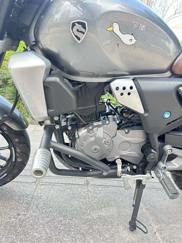 二手赛科龙RE250