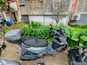 二手三阳Joymax F 300