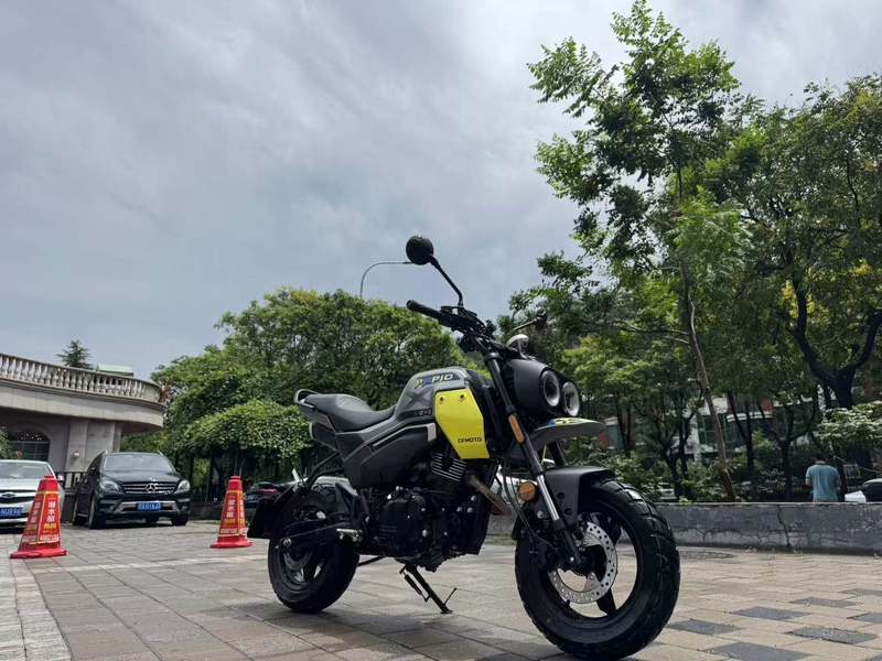 二手春风XO狒狒
